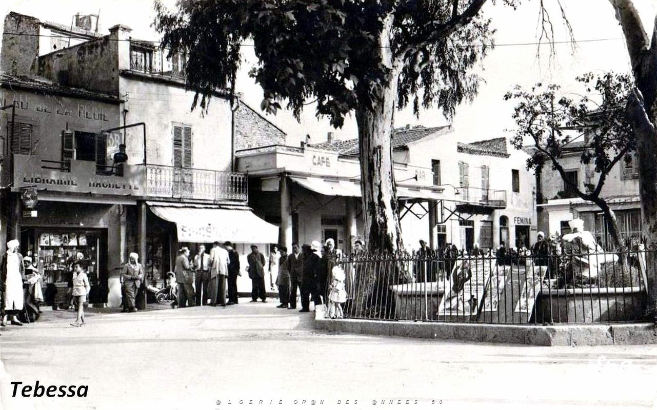703- Tebessa.jpg